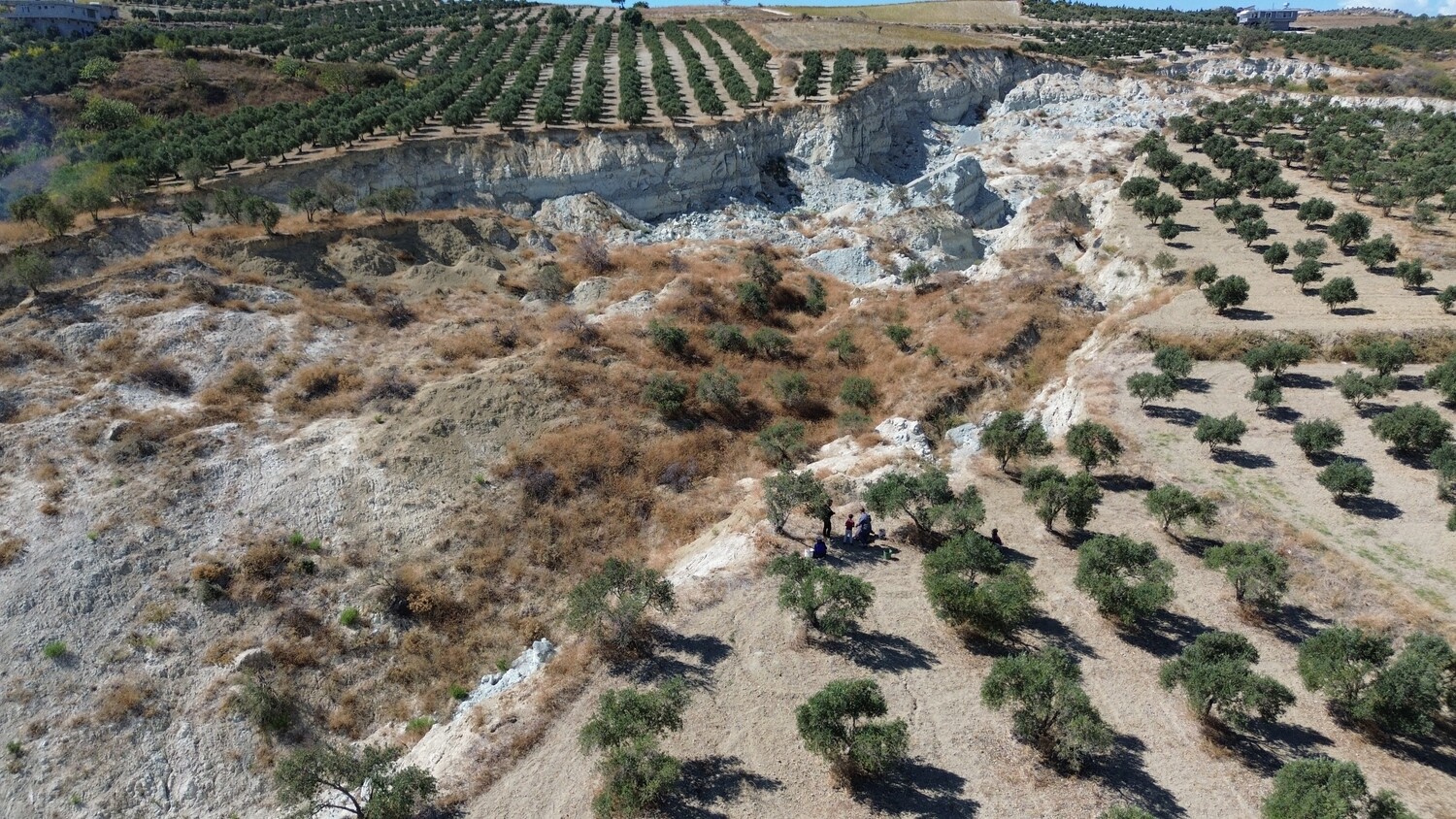 Genc Gazete Depremin Acı Hatırası Dev Yarığın Ortasında Tedirgin Eden Zeytin Hasadı  (10)