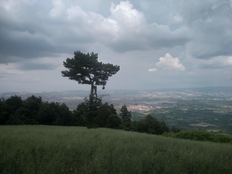 Genc Gazete Saripinar Isaoren Gencali Tepesi (6)