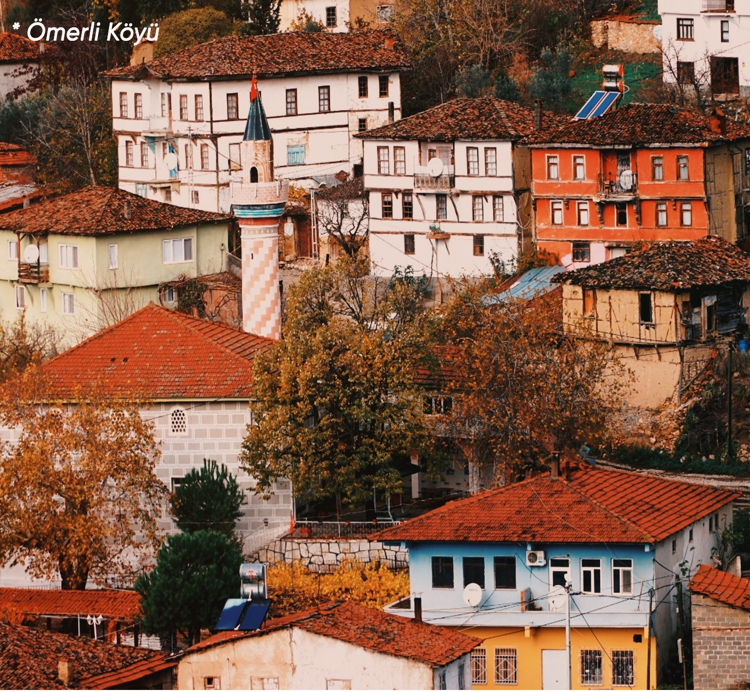 Gençgazete Iznik Ömerli Köyü (1)