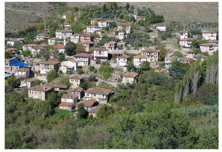 Gençgazete Iznik Ömerli Köyü (8)