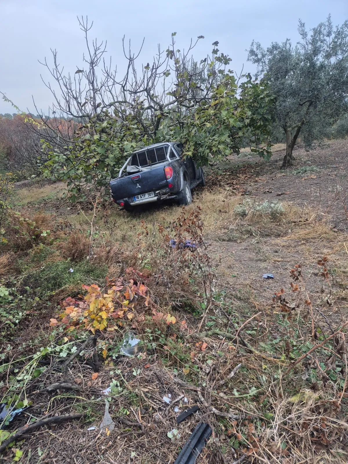 Bursa'da Işçileri Taşıyan Kamyonet Ağaca Çarptı 1 Ölü, 7 Yaralı (2)