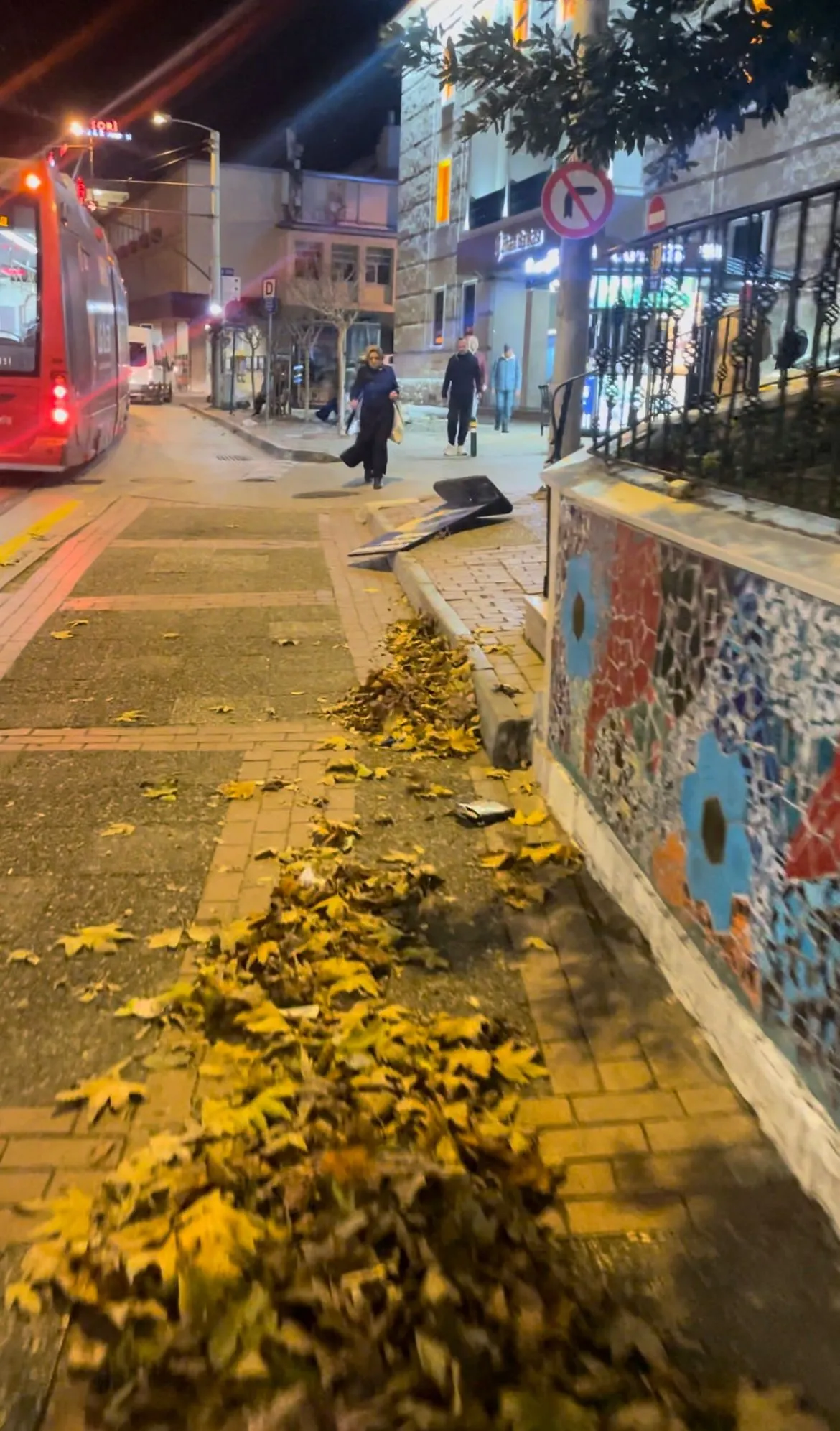 Fırtına Bursa'yı Etkisi Altına Aldı! Ağaçlar Kırıldı, Tabelalar Uçtu! (3)