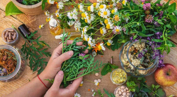 Fitoterapi Nedir Bitkilerle Sağlık Mümkün Mü (7)