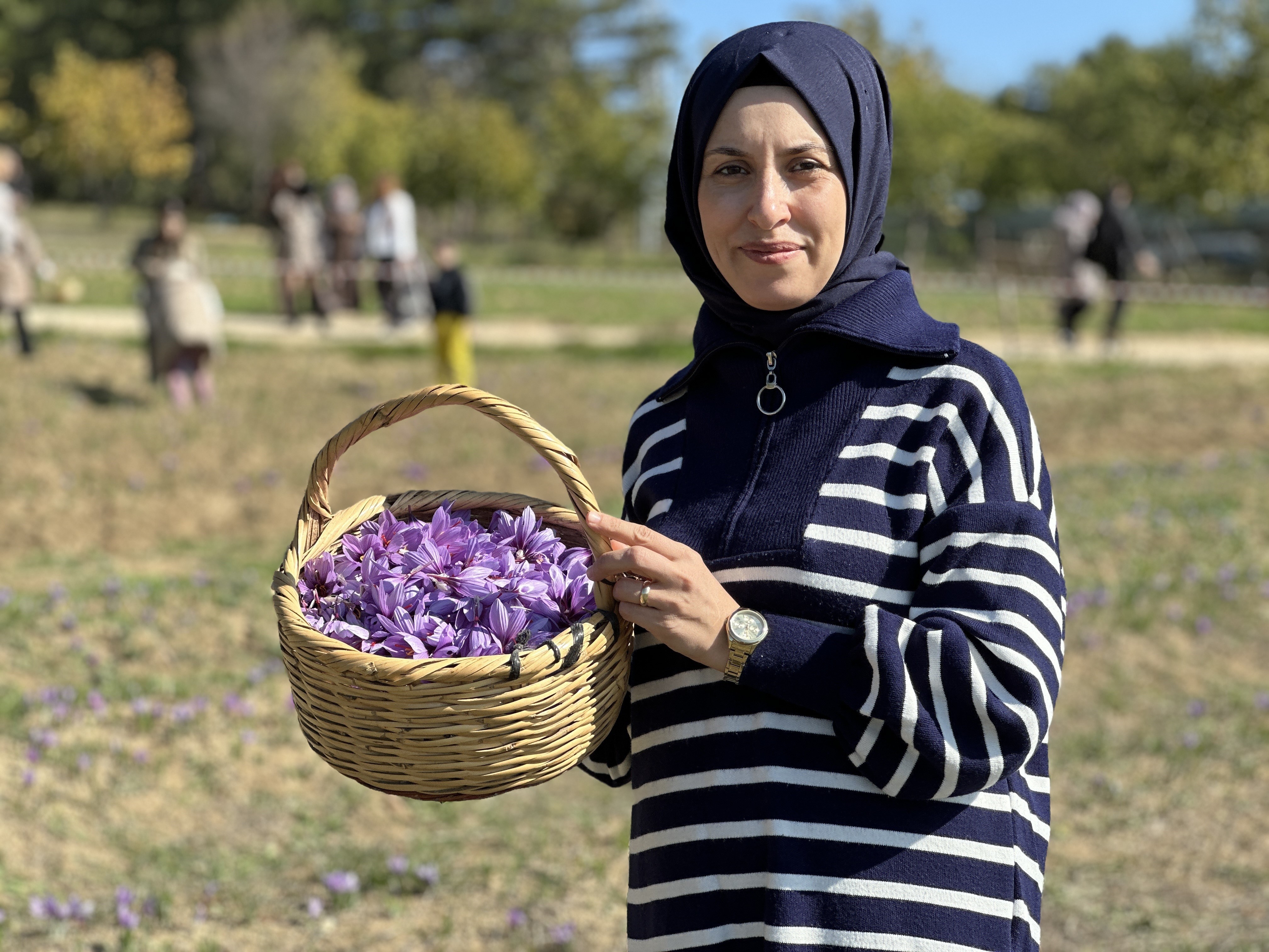 Gençgazete Dünyanın En Pahalı Baharatı Türkiye'de Safran (4)