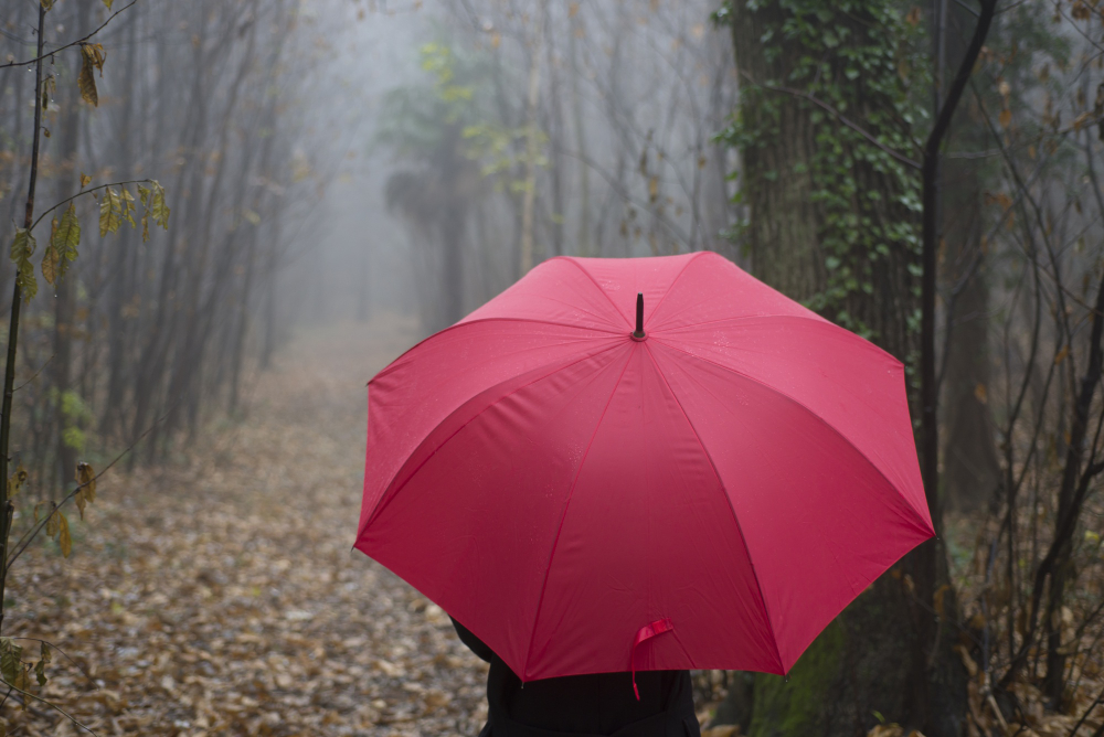 Gençgazete Şemsiyeler Hakkında İlginç Bilgiler Semsiye Umbrella (4)