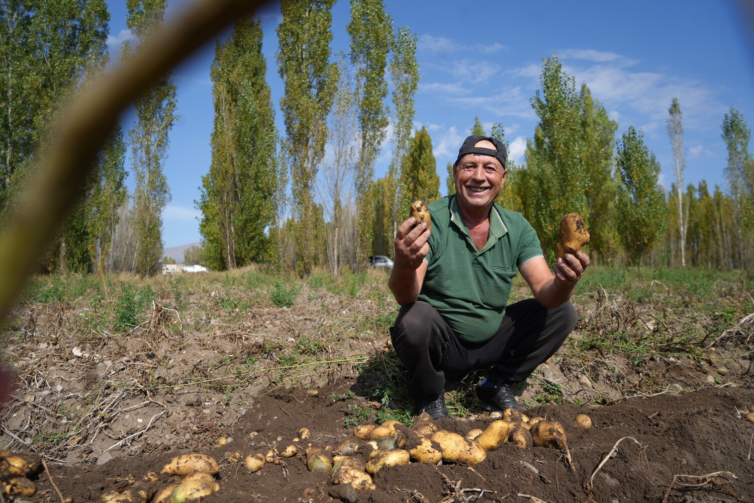 Gençgazete Tarladaki Patates Bereketi Çiftçiye Sevinçten Türküler (4)