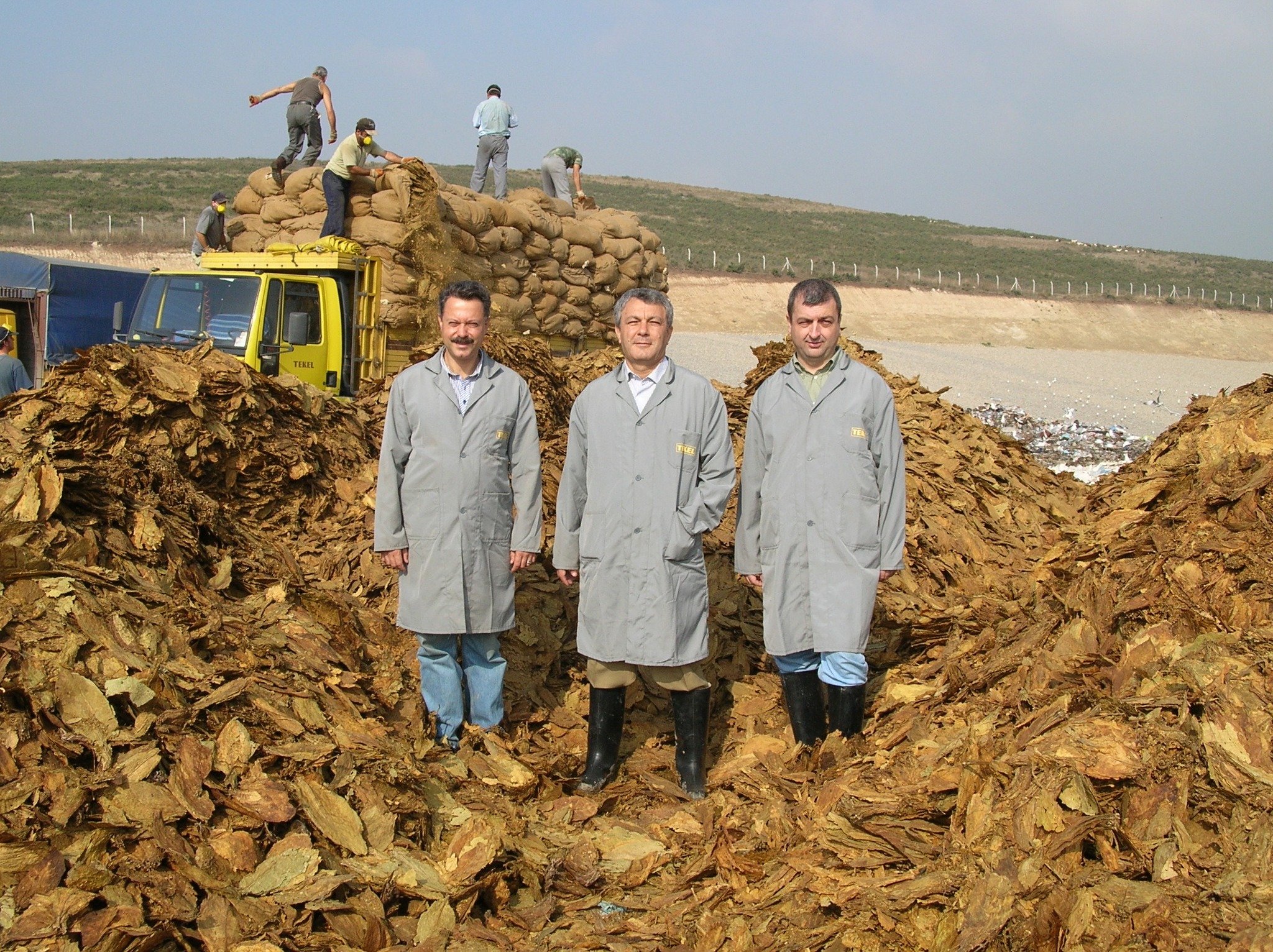 Tütün Yaprak Tekel Ki̇bri̇t İnegöl Gençgazete (20)