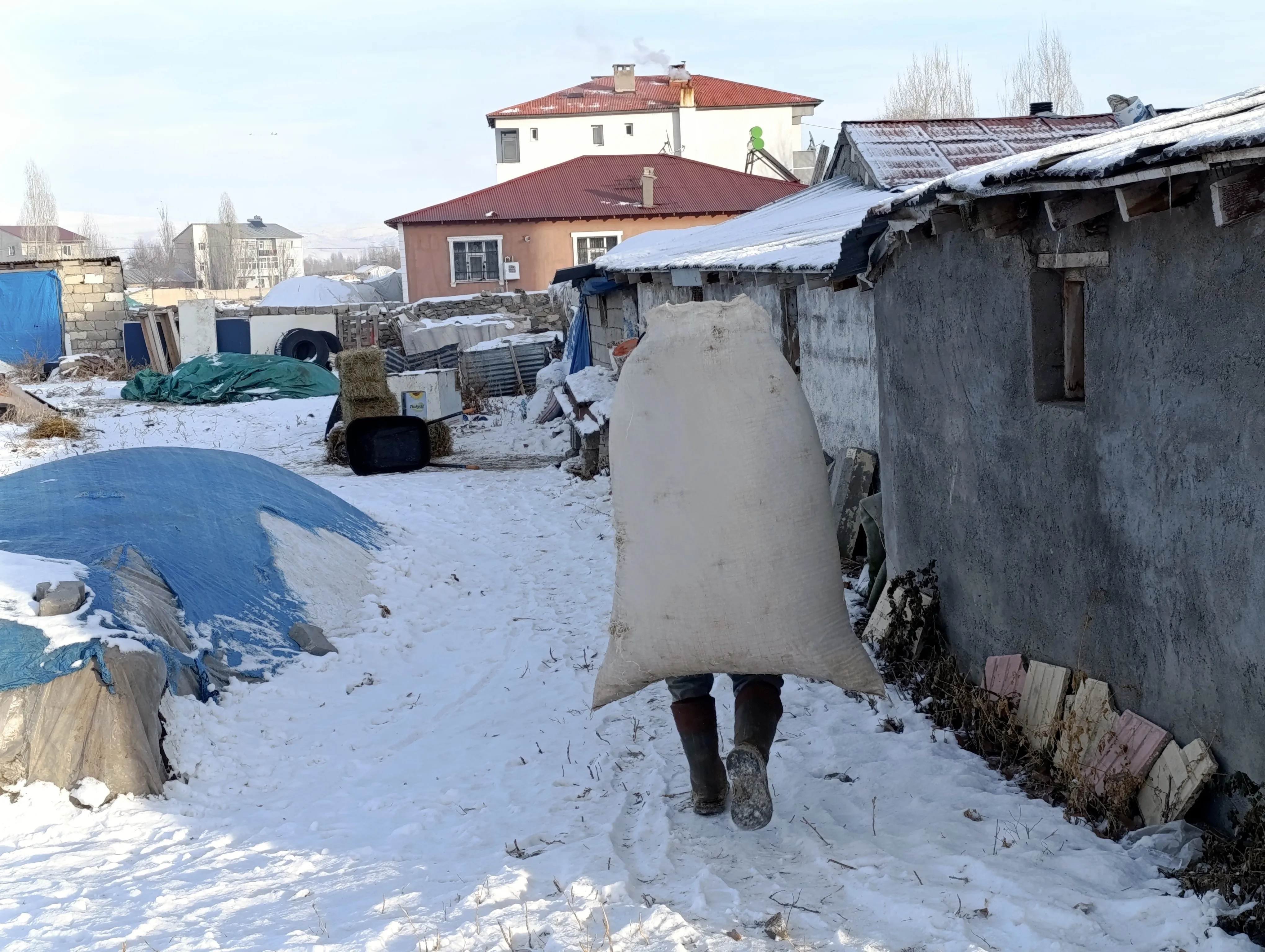 Ağrı'da Dondurucu Soğuklar Hayatı Felç Etti (1)