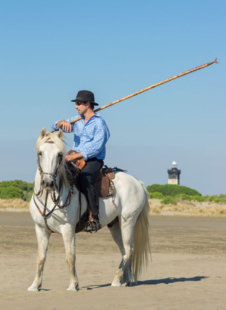 Gençgazete Ata Nasıl Binilir Ata Neden Soldan Biniliyor Horse At Ve Tay (1)