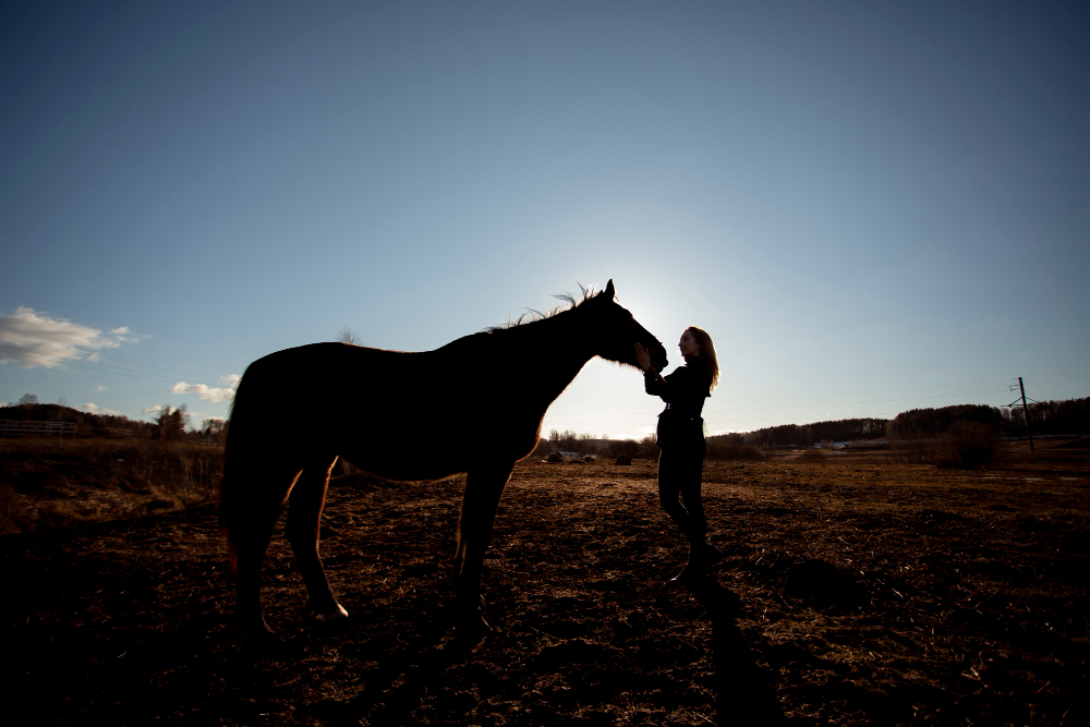 Gençgazete Ata Nasıl Binilir Ata Neden Soldan Biniliyor Horse At Ve Tay (10)