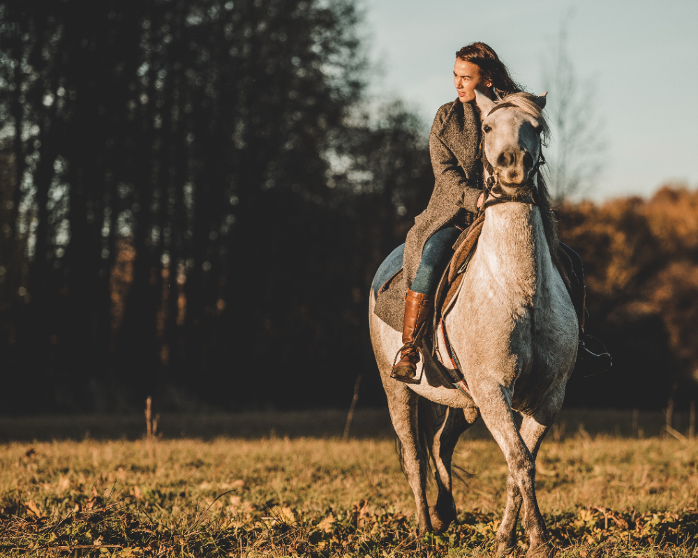 Gençgazete Ata Nasıl Binilir Ata Neden Soldan Biniliyor Horse At Ve Tay (19)