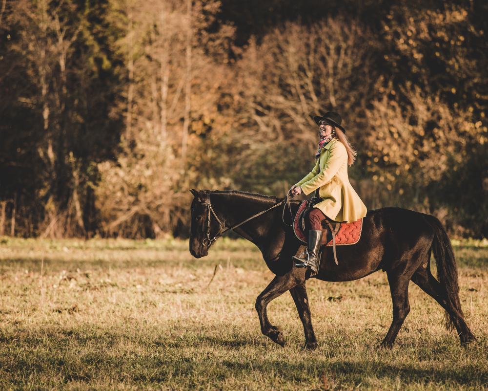 Gençgazete Ata Nasıl Binilir Ata Neden Soldan Biniliyor Horse At Ve Tay (20)