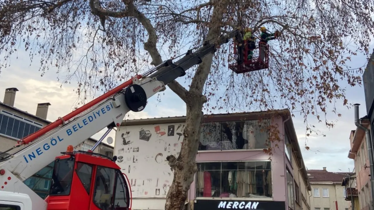 İnegöl’de Yeşil Alanlarda Budama Çalışmaları Başladı (4)