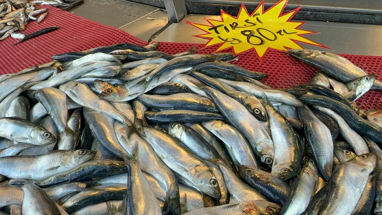 Genç Gazete Mangal Söndüren Balık Tırsi (2)