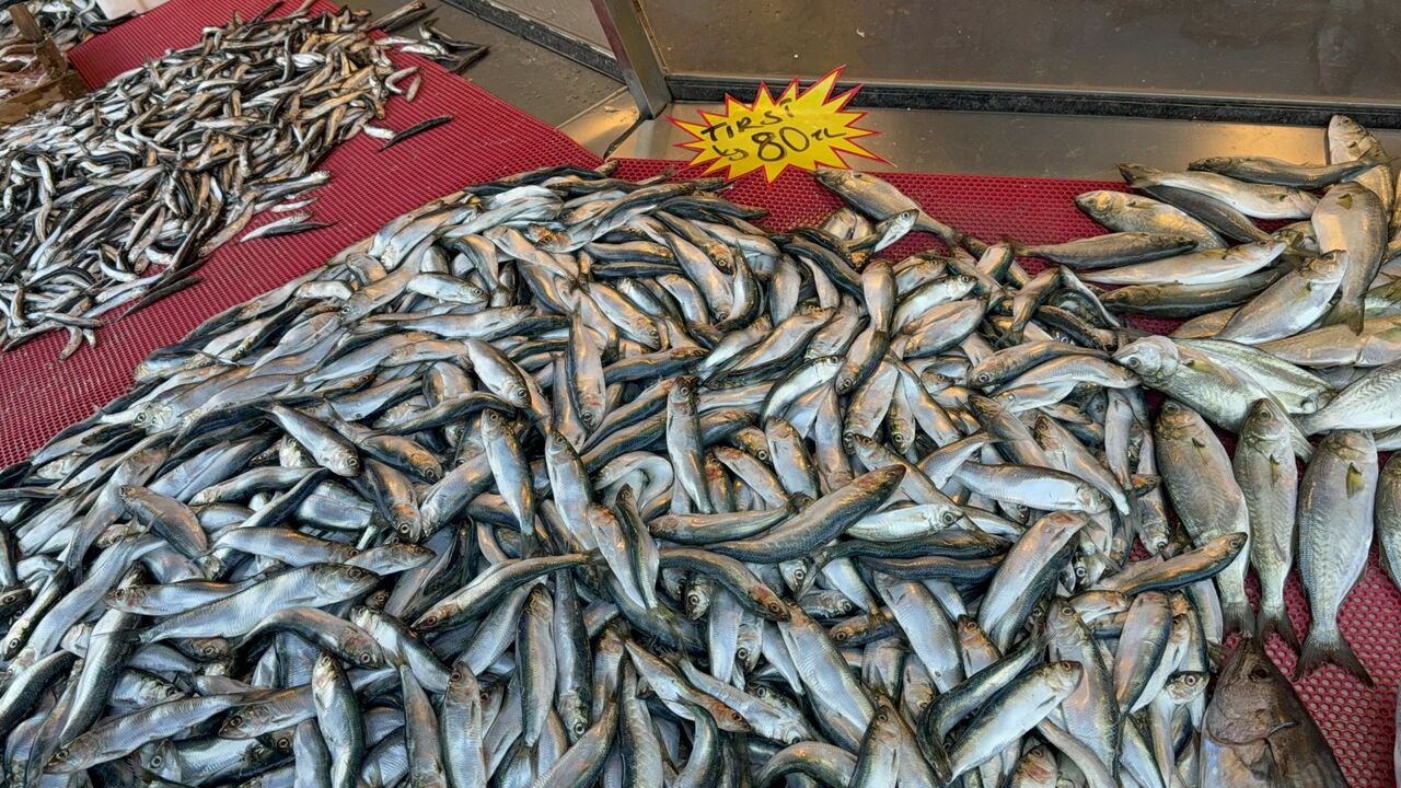 Genç Gazete Mangal Söndüren Balık Tırsi (3)