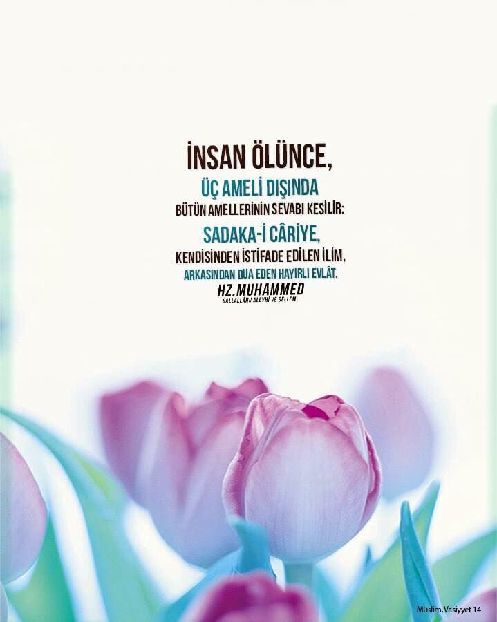 Gençgazete Vefat Cenaze Ölüm Mezarlık Kabir 24 Ocak 2025 (3)