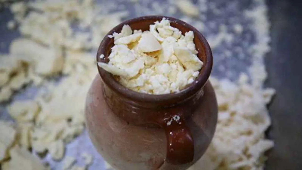 Gilik Peyniri Gencgazete