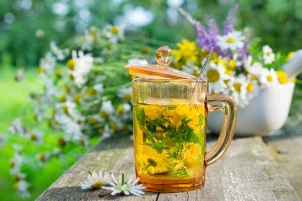 Bitki Caylari Cesitleri Ve Faydalari Nelerdir Neye Iyi Gelir