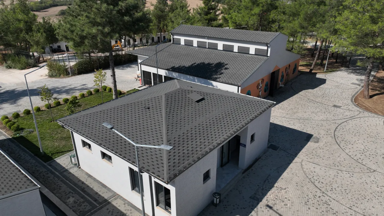 Bursa’da Sokak Hayvanlarına Büyük Destek Kısırlaştırma Kapasitesi 15 Bine Çıkıyor (3)