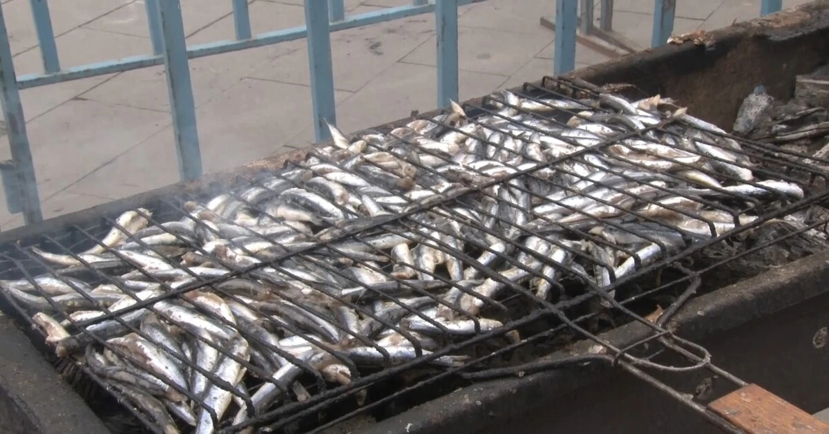 Genç Gazete Balık Izdihamı 2