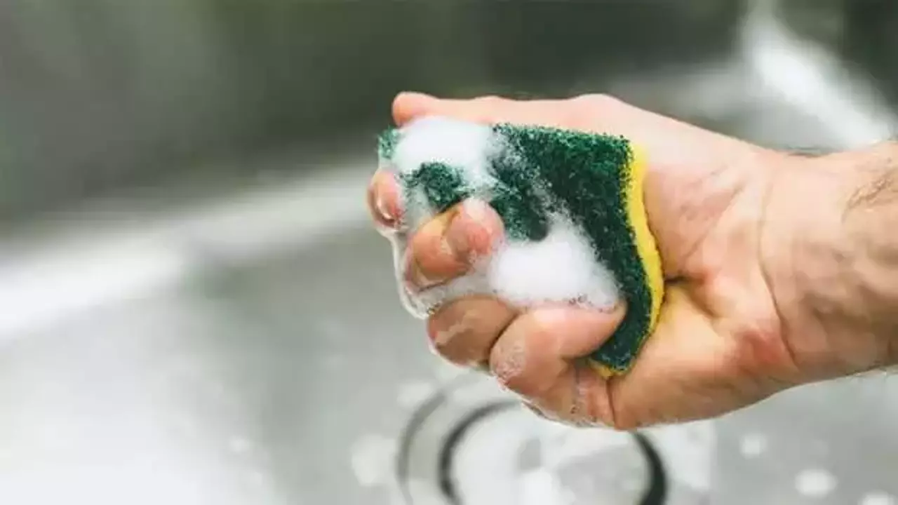 Genç Gazete Bulaşık Süngeri 1