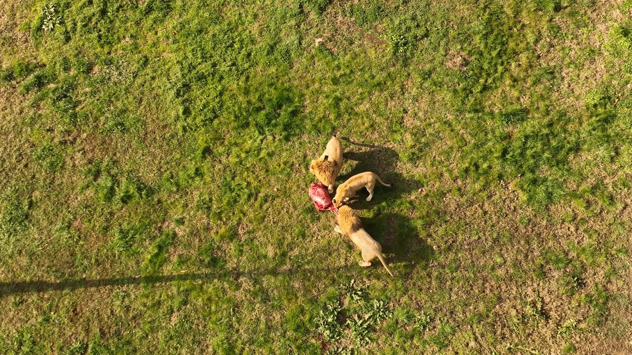 Genç Gazete Bursa Hayvanat Bahçesi 2