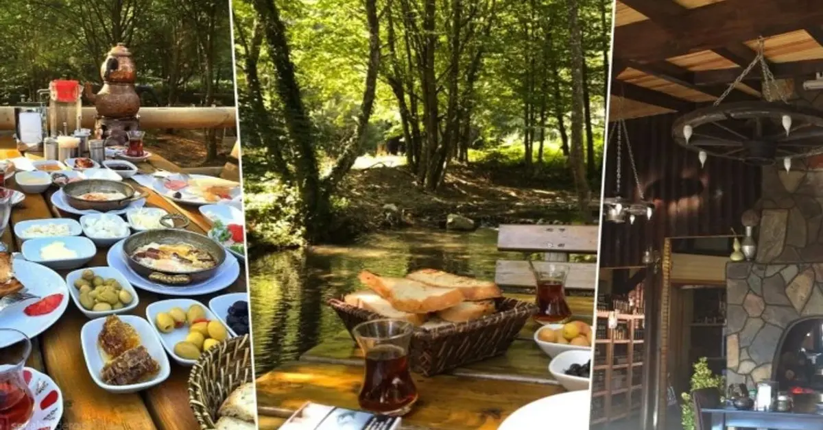 Genç Gazete Hizmet Üretimi 1