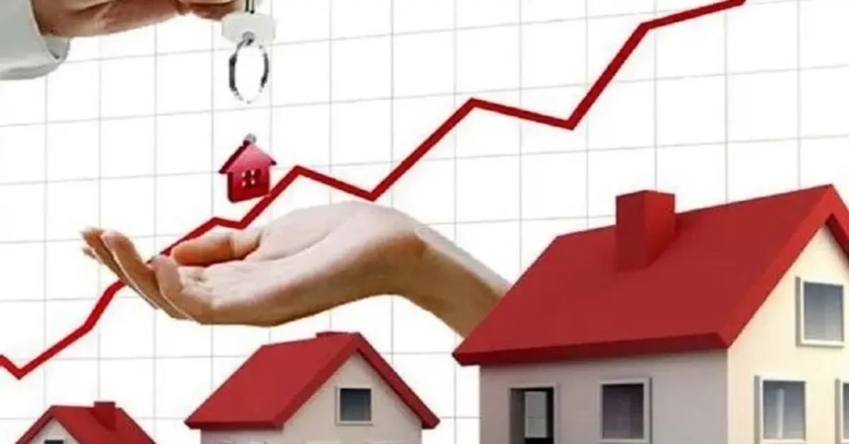 Genç Gazete Hizmet Üretimi 3