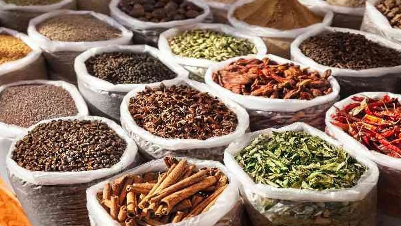 Genç Gazete Metabolizma 3