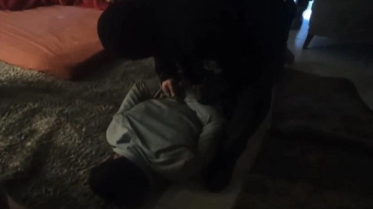 Genç Gazete Uçan Torbacı