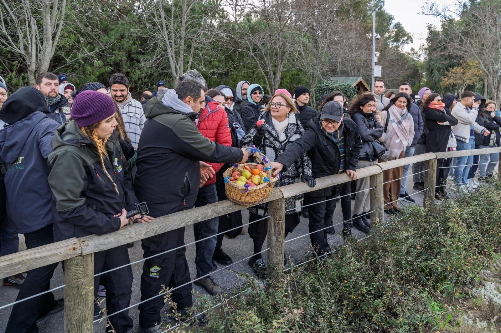Gencgazete Türkiye’de Doğan İlk Fil (6)