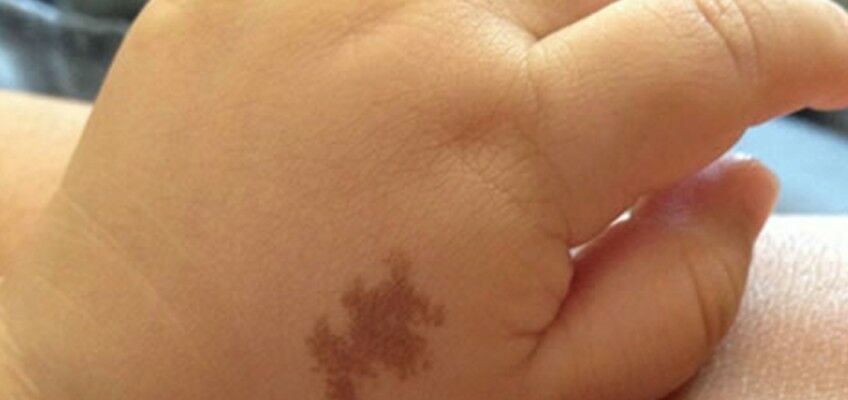 Mongol Lekesi 848X400