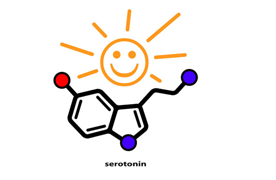 Mutlulugun Hormonu Serotonin-1