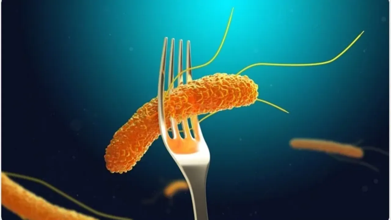 Salmonella Tehlikesi Büyüyor! Şimdi De Yumurtalar Toplatılıyor! Bunlara Dikkat Edin! (1)