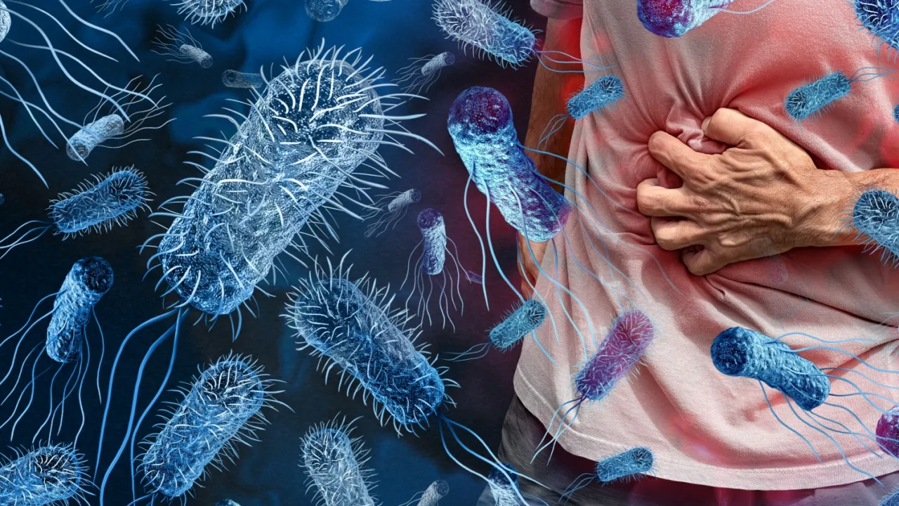 Salmonella Tehlikesi Büyüyor! Şimdi De Yumurtalar Toplatılıyor! Bunlara Dikkat Edin! (2)