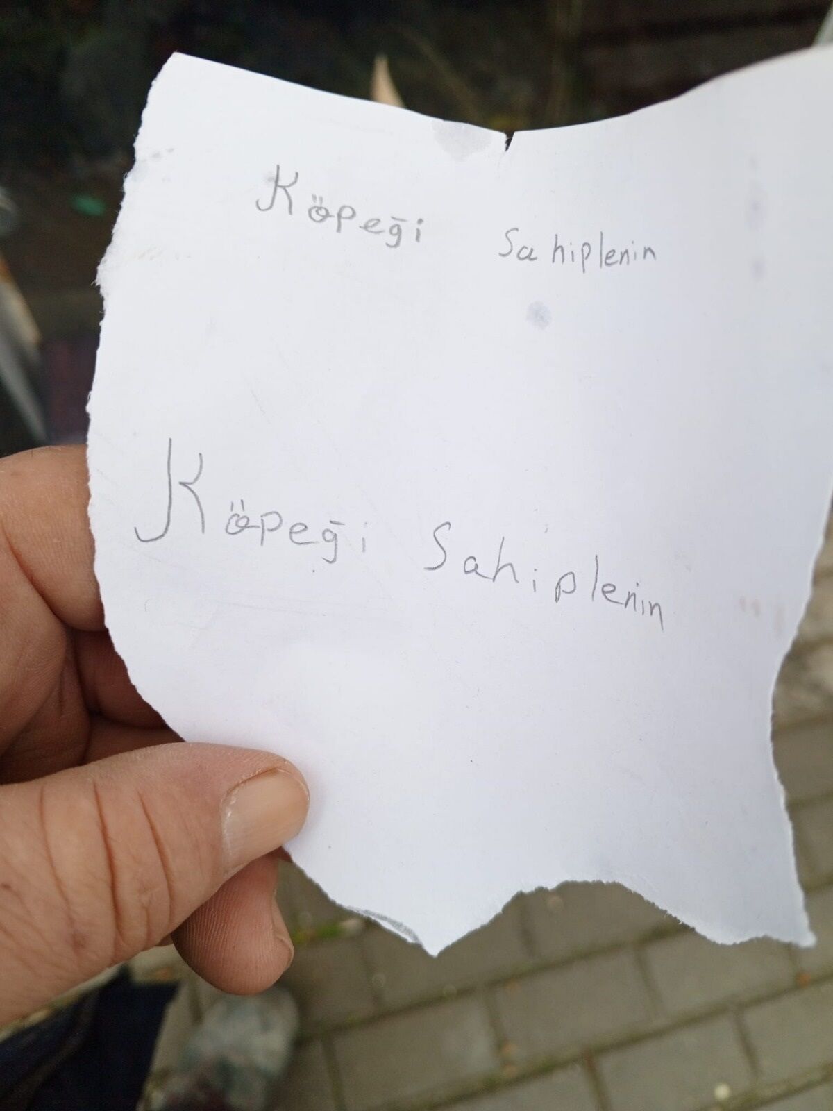 Yavru Kopegi Sahiplenin Notuyla Sokag 561127 166274 (1)