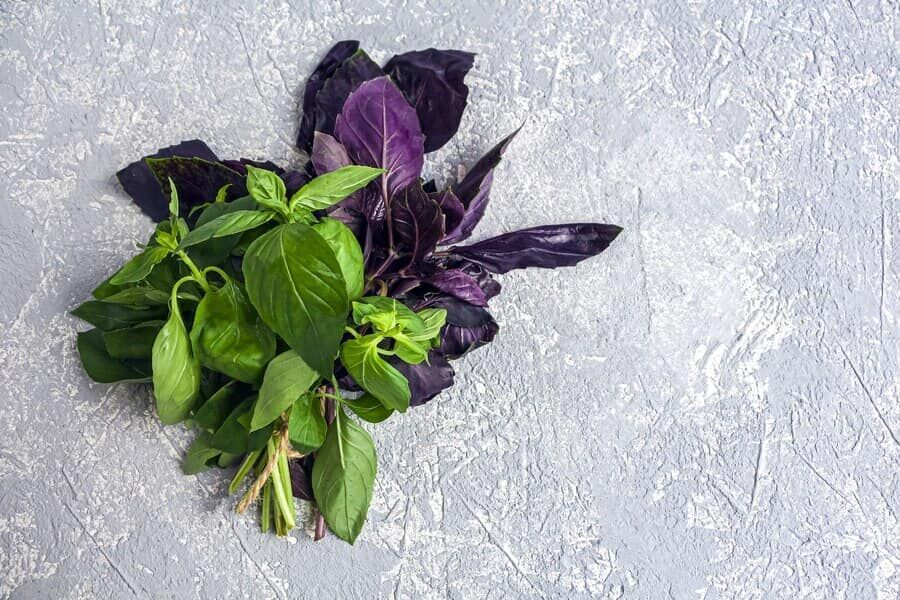 Bağışıklığı Güçlendiriyor, Stresi Azaltıyor, Sindirimi Destekliyor! (3)-1