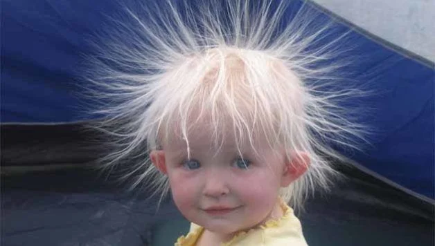 Elektrostatik Statik Elektrik Ve Elektrik Yukleri Nelerdir