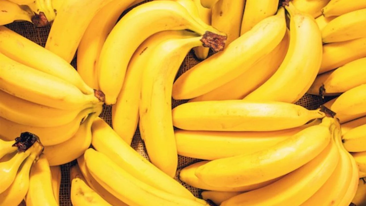 Genç Gazete Boy Uzatan Meyveler 1