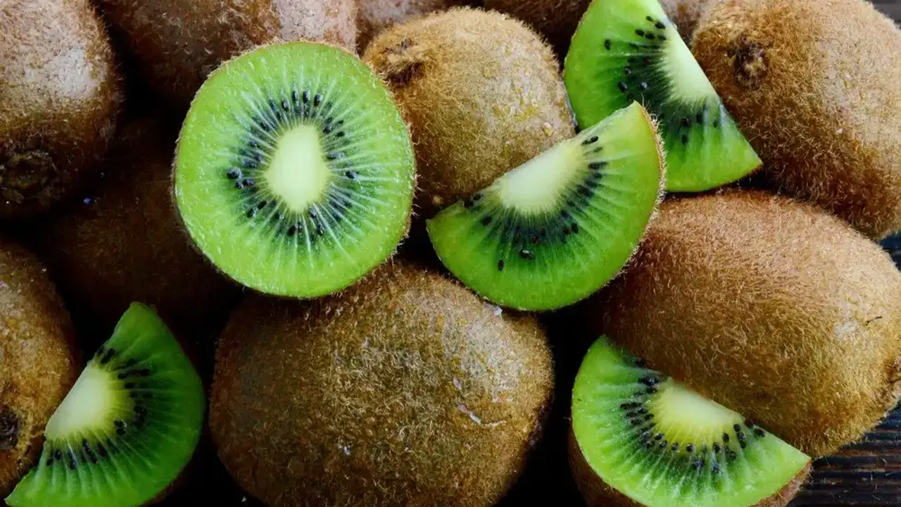 Genç Gazete Boy Uzatan Meyveler 4