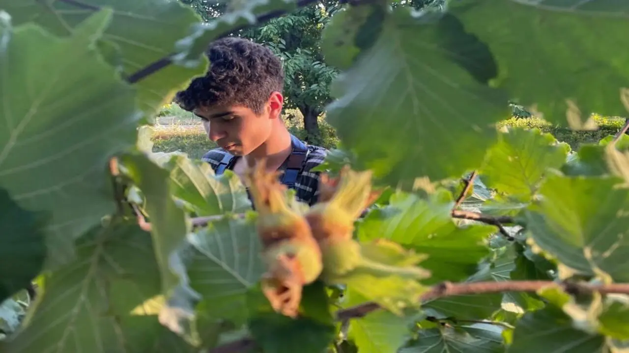 Genç Gazete Fındık