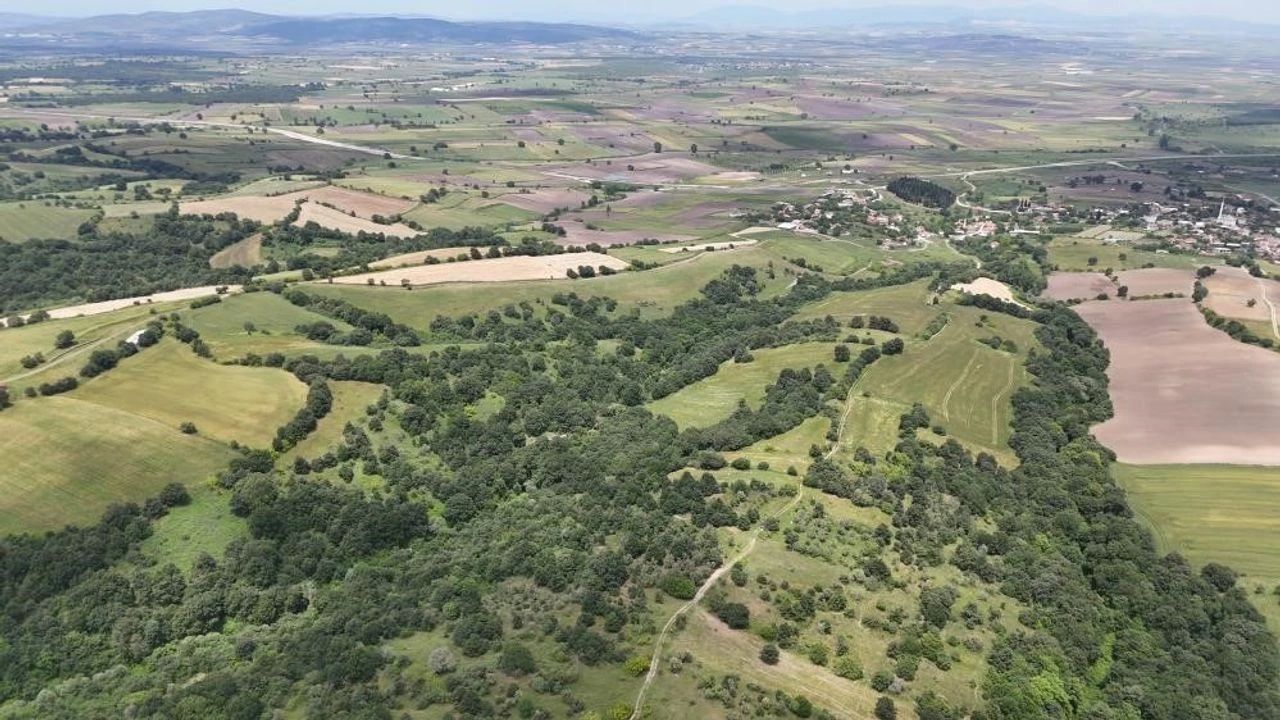 Genç Gazete Kıyıya Cephe