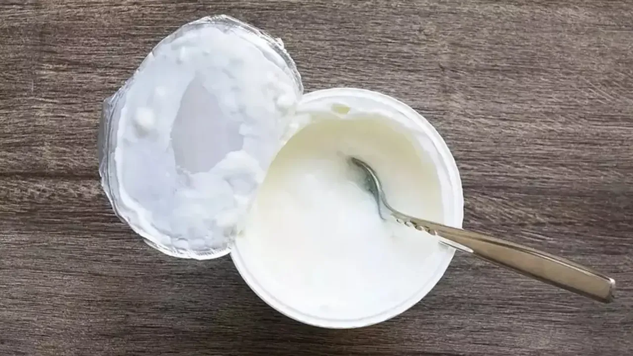 Genç Gazete Süt Ürünleri 2