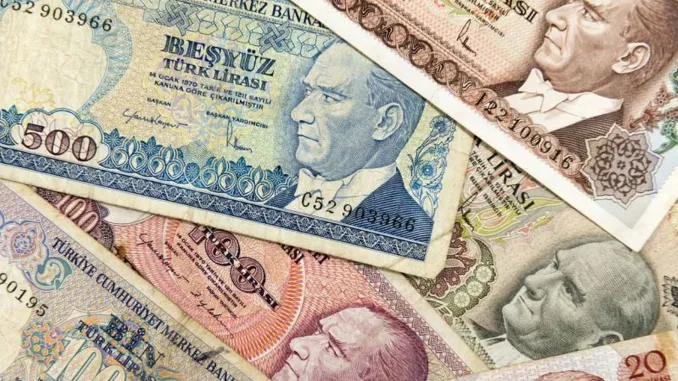 Hatay Meclisi Turk Lirasini Resmi Para Olarak Kabul Etti