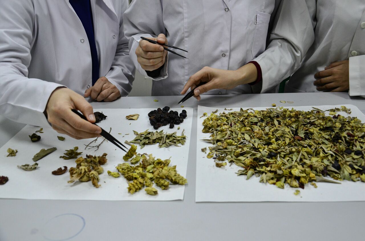 Kış Çayları Yarardan Çok Zarar Veriyor! (2)