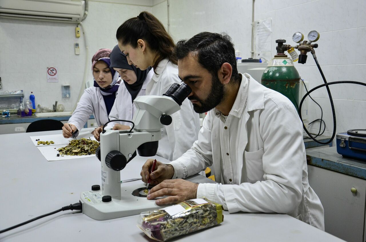 Kış Çayları Yarardan Çok Zarar Veriyor! (5)