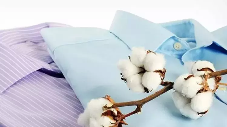 Sırtınızdaki Sivilceler Hiç Geçmiyor Mu İşte Sebepleri Ve Kesin Çözümler! G