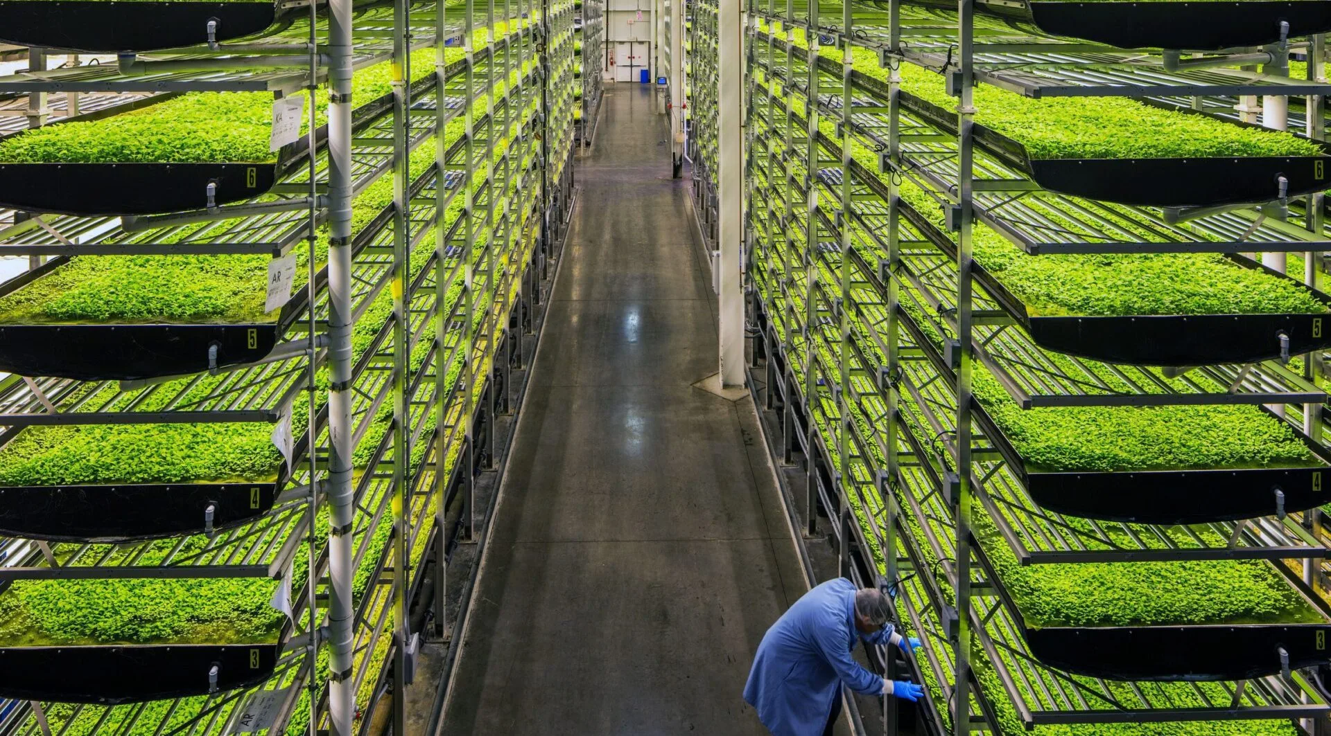 Susuz Topraksiz Tarim Scaled Jpg