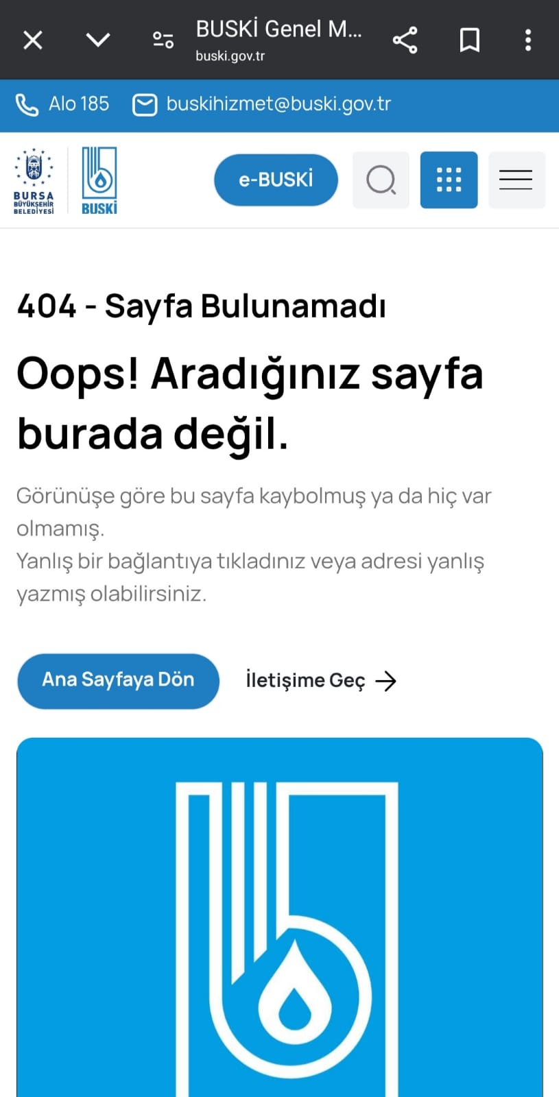 Bursa'nın O Bilgisine E Devlet'ten Erişilemiyor Sistem Hata Veriyor! (1)