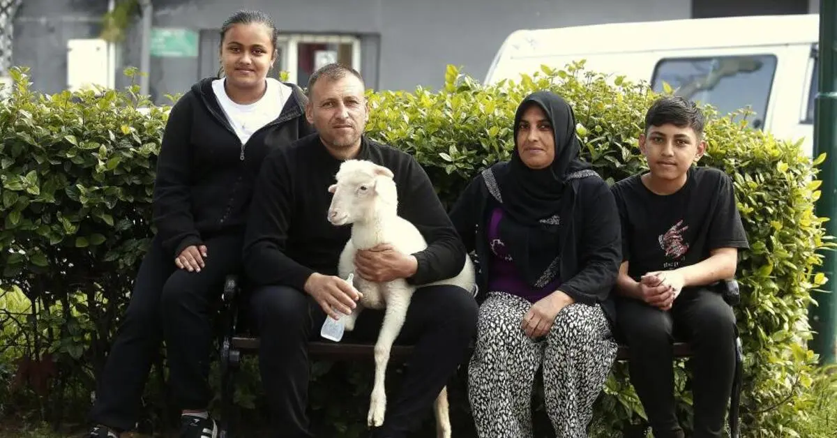 Genç Gazete Bursa'da Maviş Kuzu, Benlioğlu Ailesinin Aile Bireyi Gibi Yaşıyor! 2